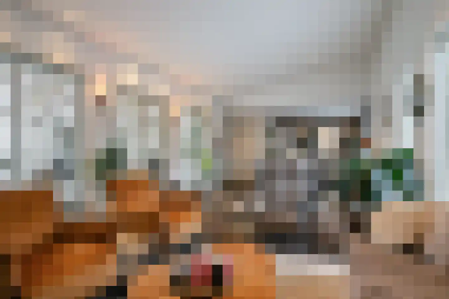 Saksenweg 30 Oss thumbnail 14
