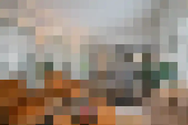 Saksenweg 30 Oss thumbnail 14
