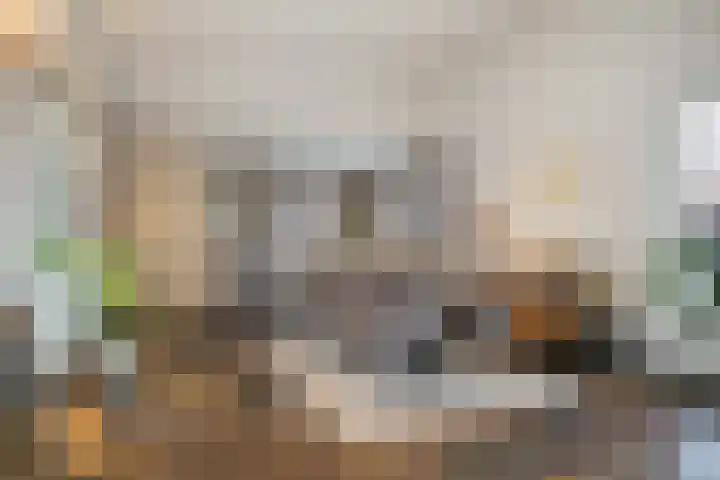 Saksenweg 30 Oss thumbnail 15