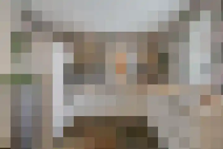 Saksenweg 30 Oss thumbnail 16
