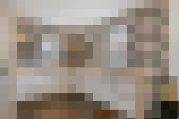 Saksenweg 30 Oss thumbnail 17