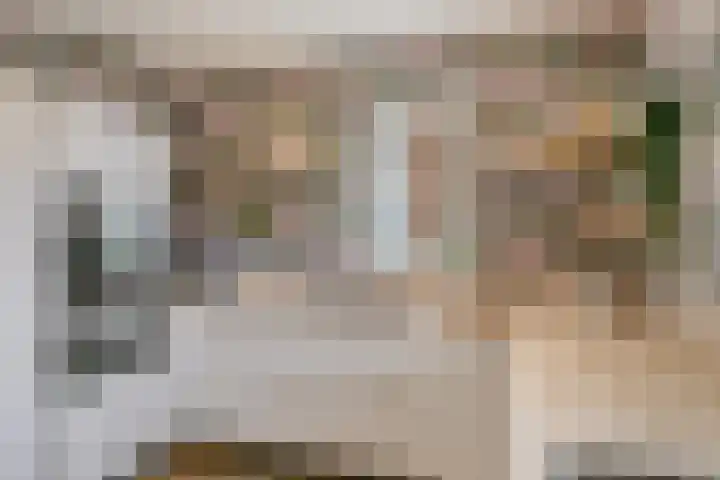 Saksenweg 30 Oss thumbnail 18