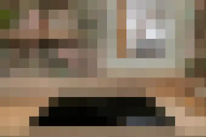 Saksenweg 30 Oss thumbnail 19