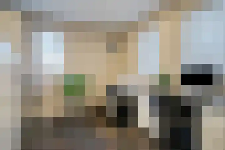 Saksenweg 30 Oss thumbnail 22