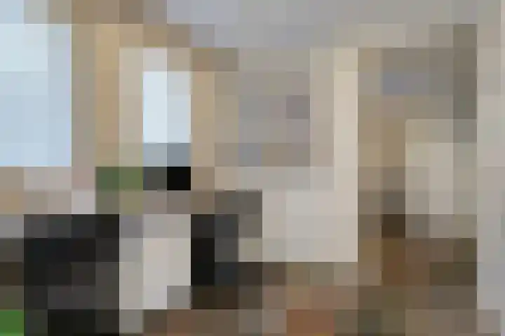 Saksenweg 30 Oss thumbnail 23