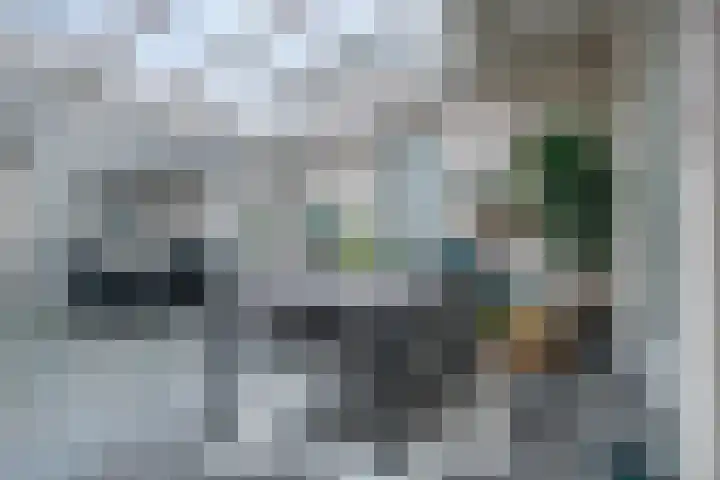 Saksenweg 30 Oss thumbnail 26