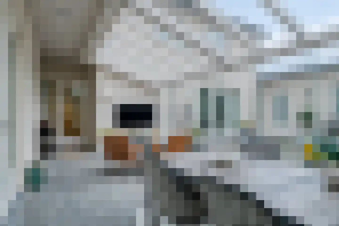 Saksenweg 30 Oss thumbnail 27