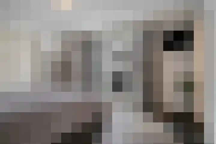 Saksenweg 30 Oss thumbnail 34