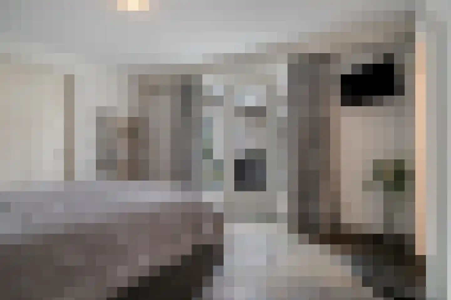 Saksenweg 30 Oss thumbnail 34