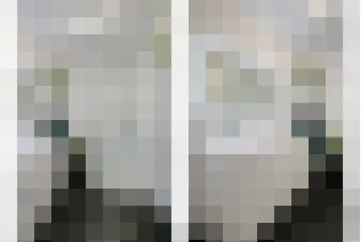 Saksenweg 30 Oss thumbnail 36
