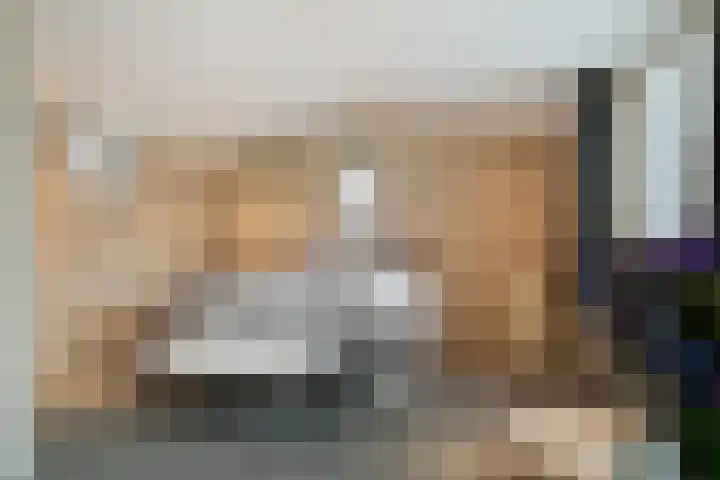 Saksenweg 30 Oss thumbnail 38