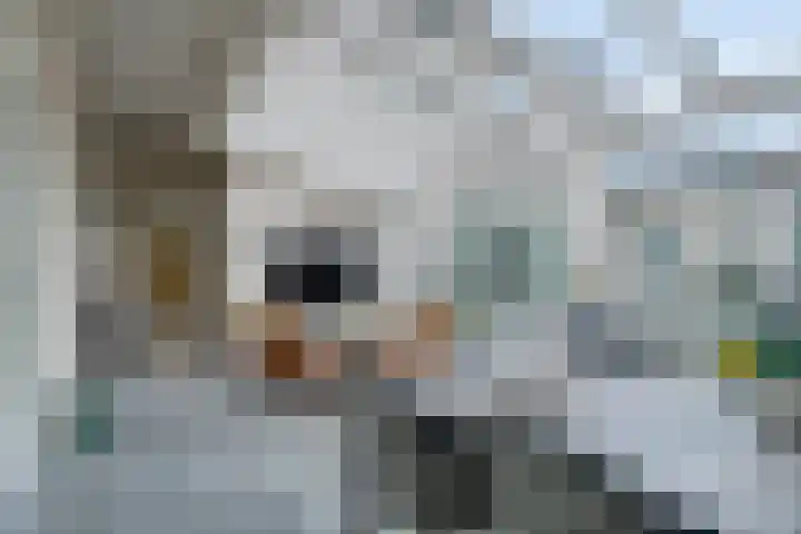 Saksenweg 30 Oss thumbnail 4