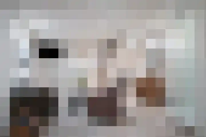 Saksenweg 30 Oss thumbnail 46