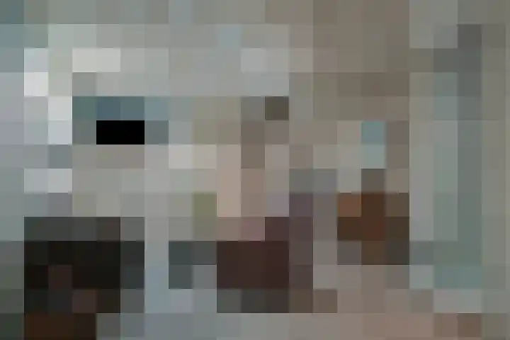 Saksenweg 30 Oss thumbnail 48