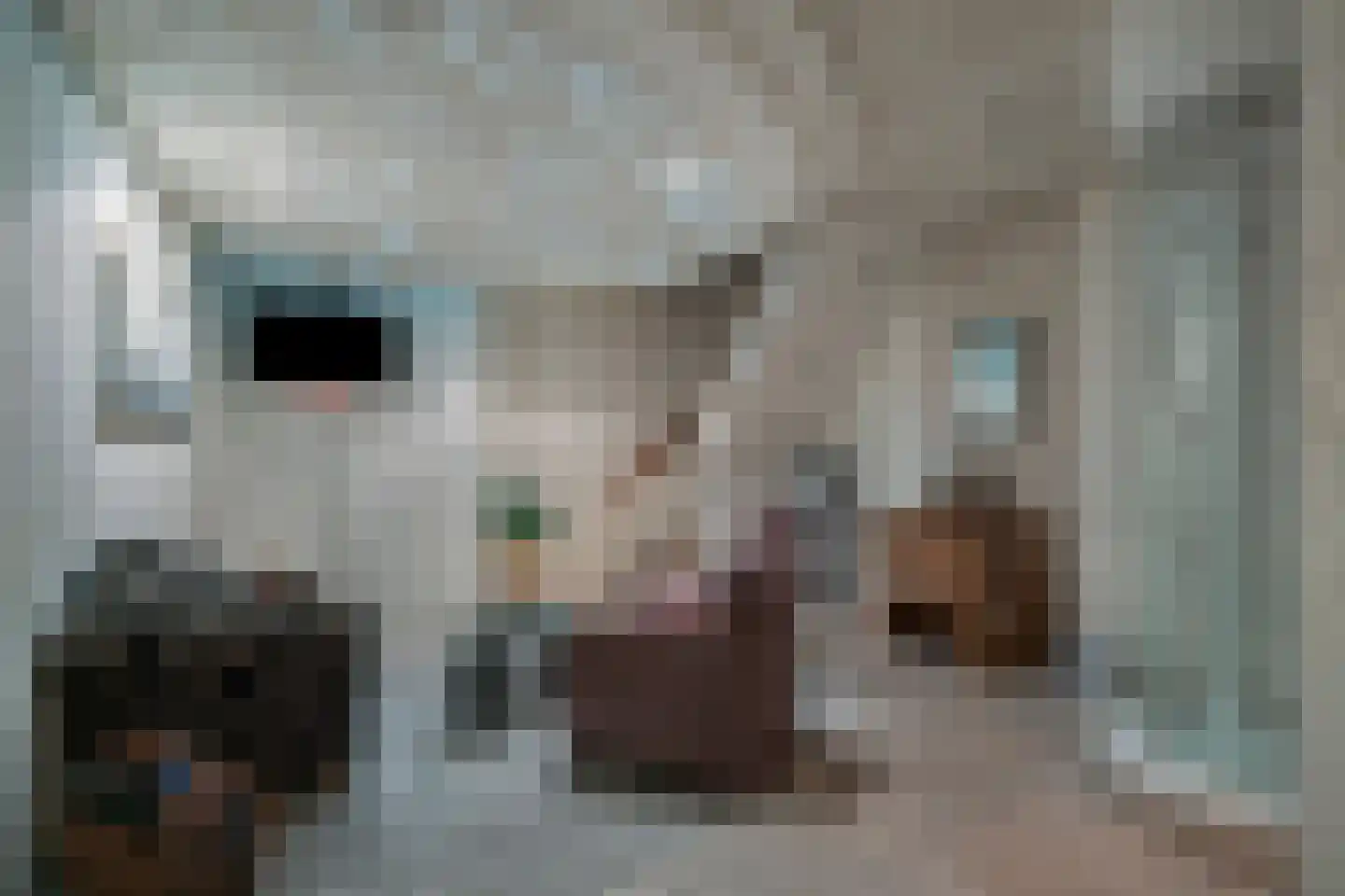 Saksenweg 30 Oss thumbnail 48