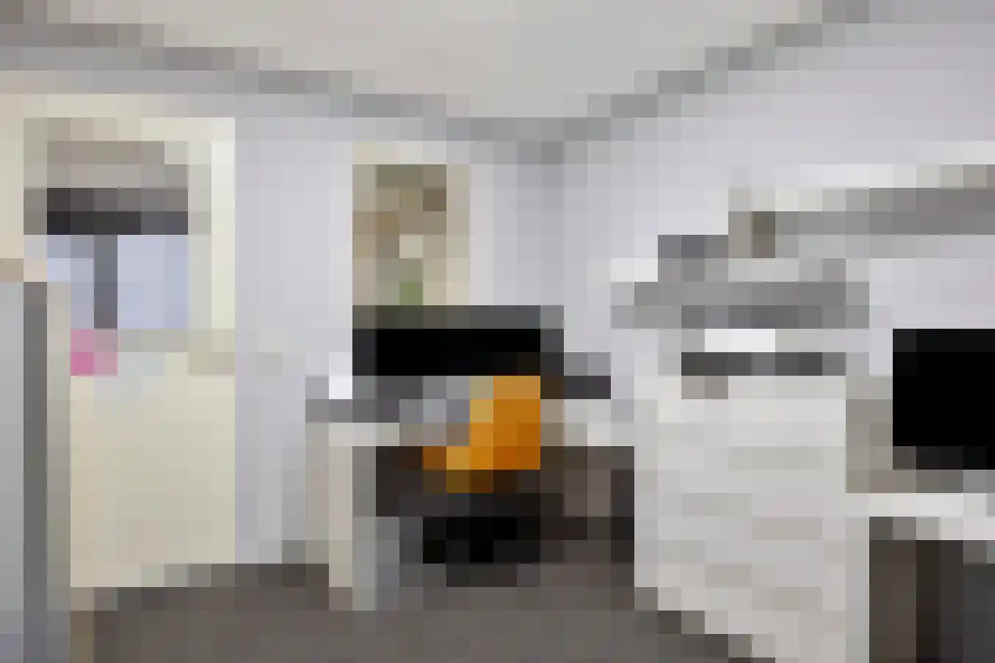 Saksenweg 30 Oss thumbnail 54
