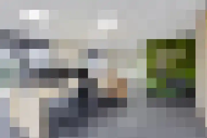 Saksenweg 30 Oss thumbnail 55
