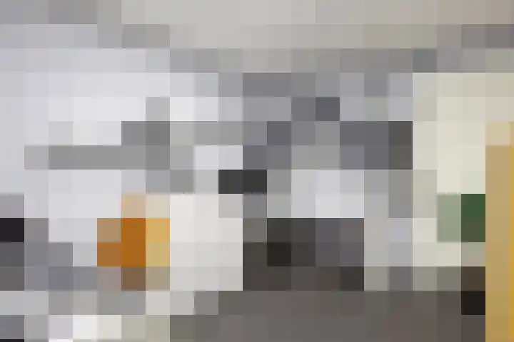 Saksenweg 30 Oss thumbnail 59