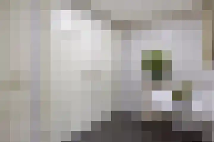 Saksenweg 30 Oss thumbnail 60