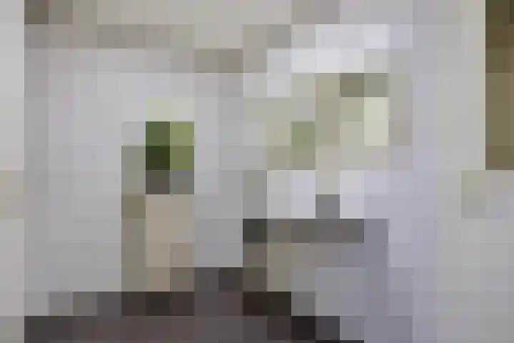 Saksenweg 30 Oss thumbnail 61