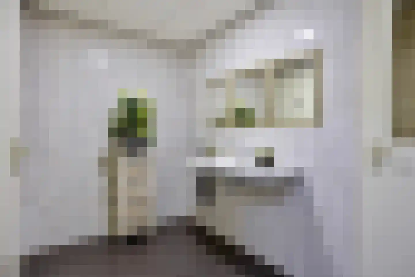 Saksenweg 30 Oss thumbnail 61