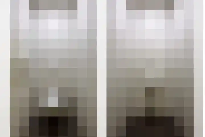 Saksenweg 30 Oss thumbnail 62