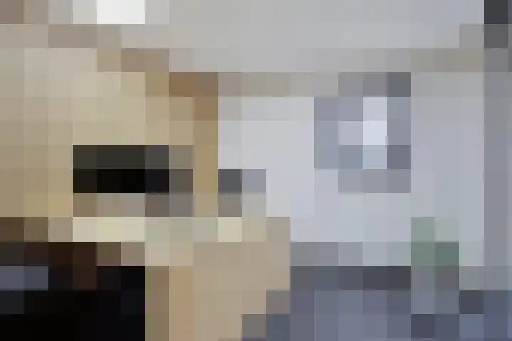 Saksenweg 30 Oss thumbnail 64