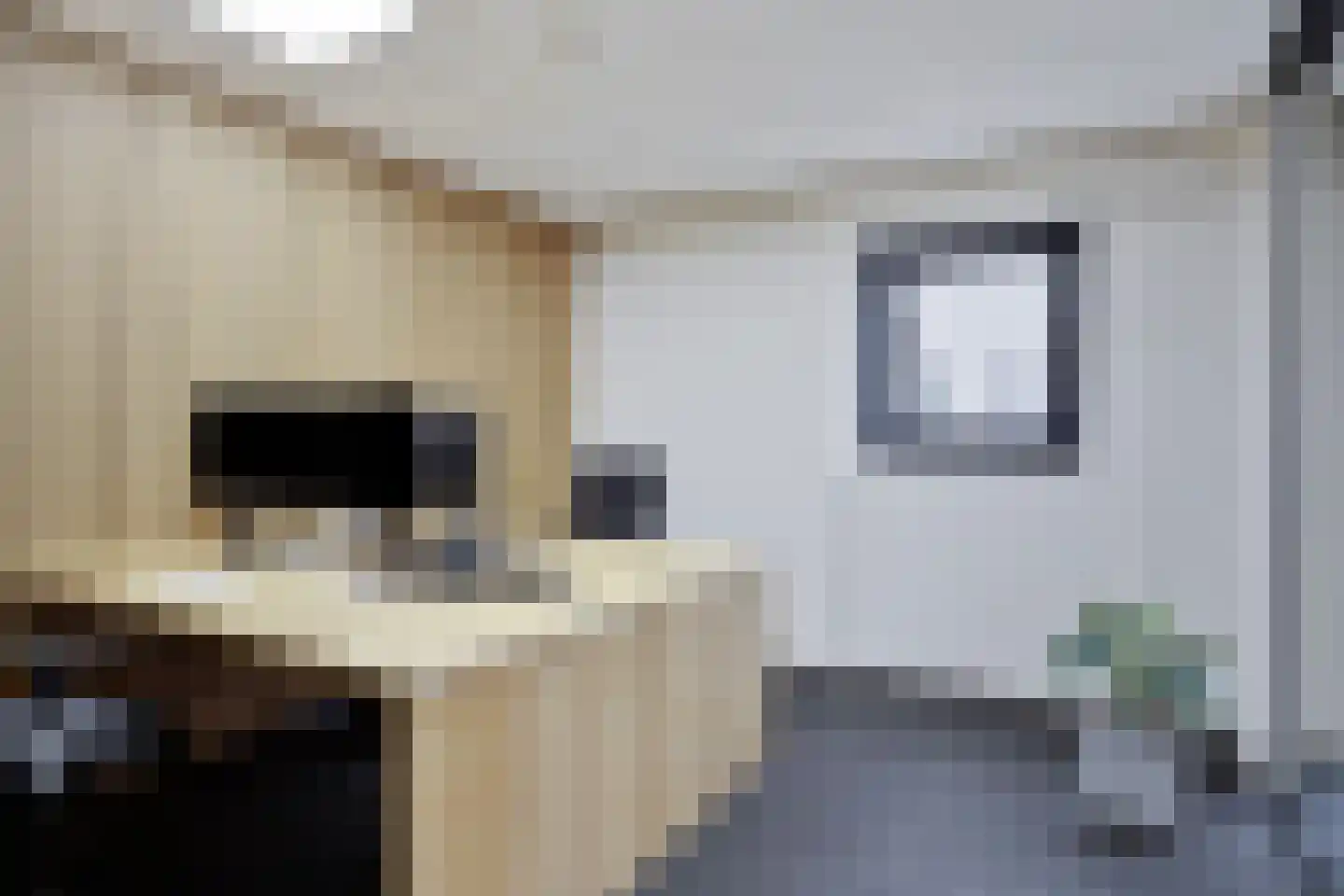 Saksenweg 30 Oss thumbnail 64