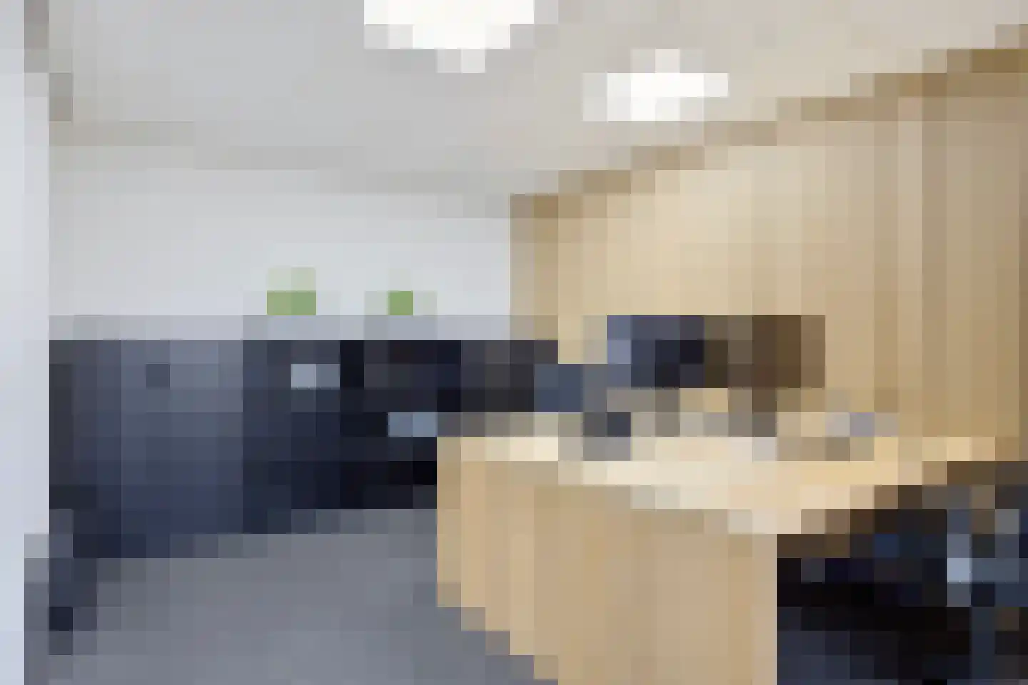 Saksenweg 30 Oss thumbnail 65