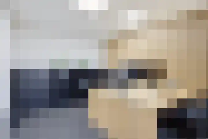 Saksenweg 30 Oss thumbnail 65