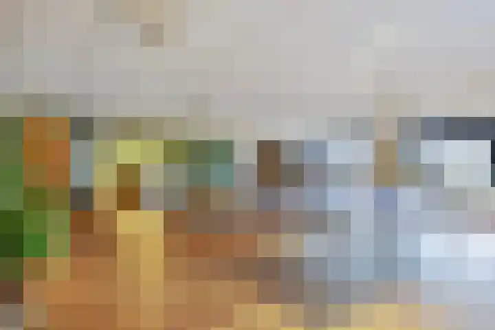 Saksenweg 30 Oss thumbnail 67