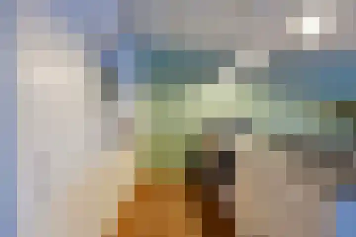 Saksenweg 30 Oss thumbnail 72