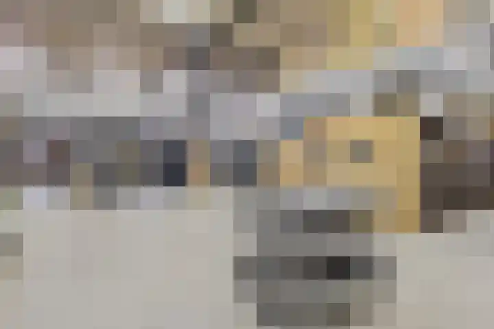 Saksenweg 30 Oss thumbnail 75
