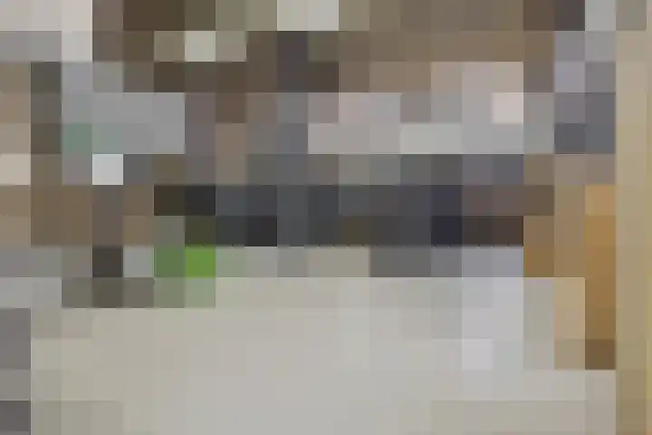 Saksenweg 30 Oss thumbnail 76