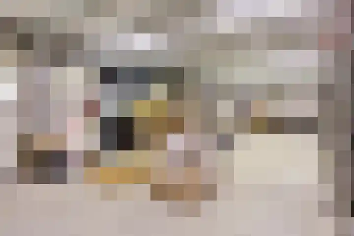 Saksenweg 30 Oss thumbnail 78