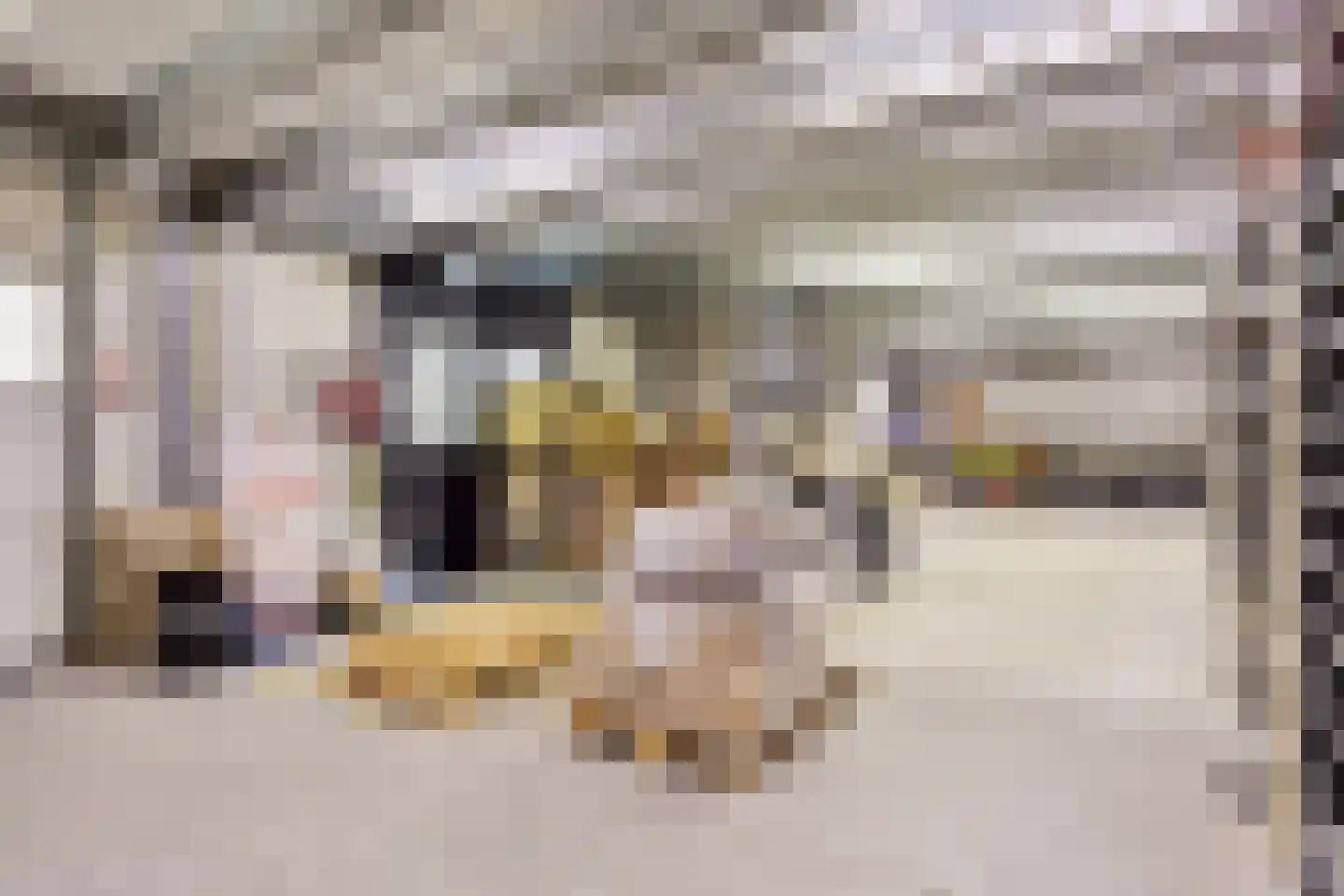 Saksenweg 30 Oss thumbnail 78
