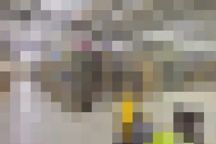 Saksenweg 30 Oss thumbnail 80