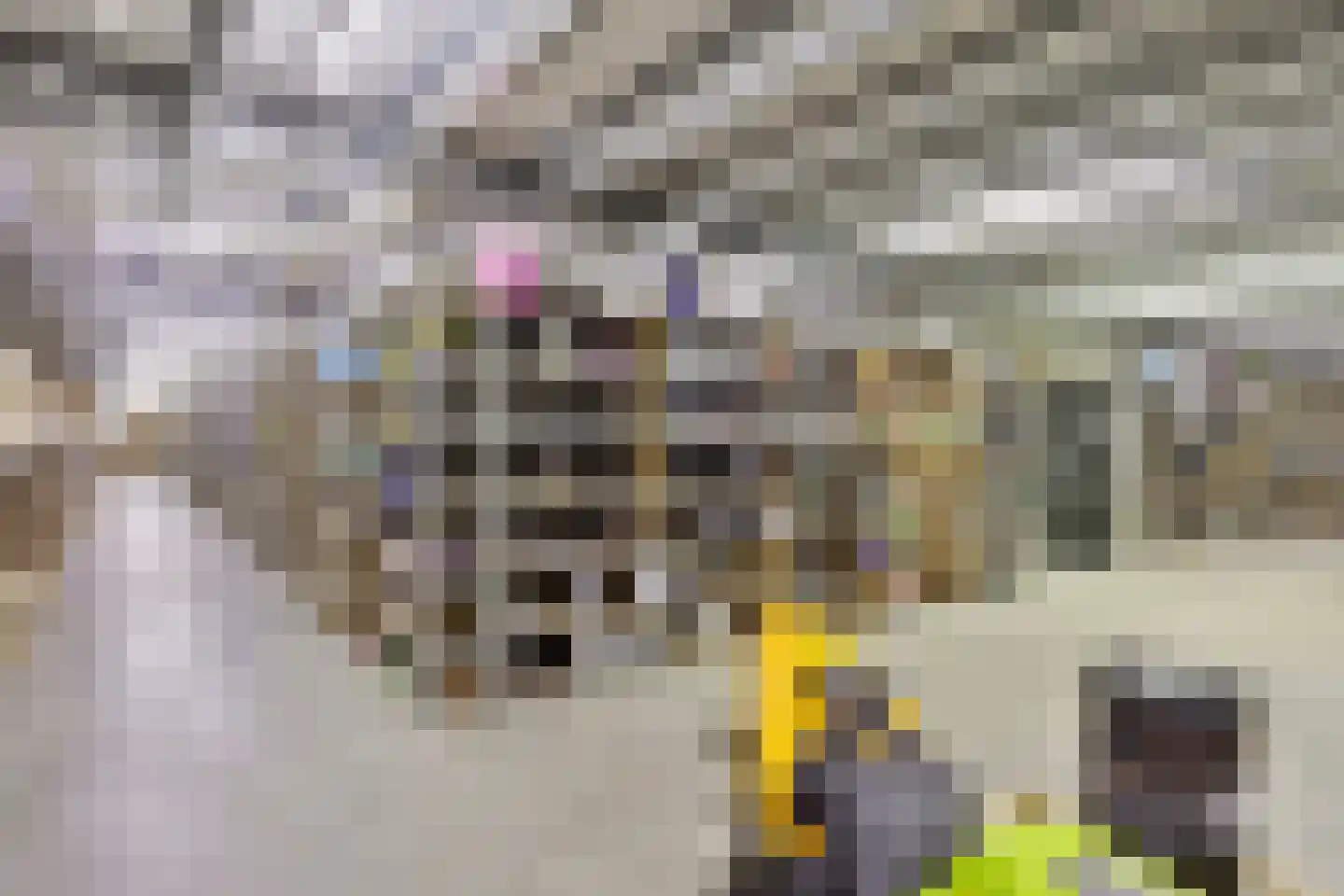 Saksenweg 30 Oss thumbnail 80