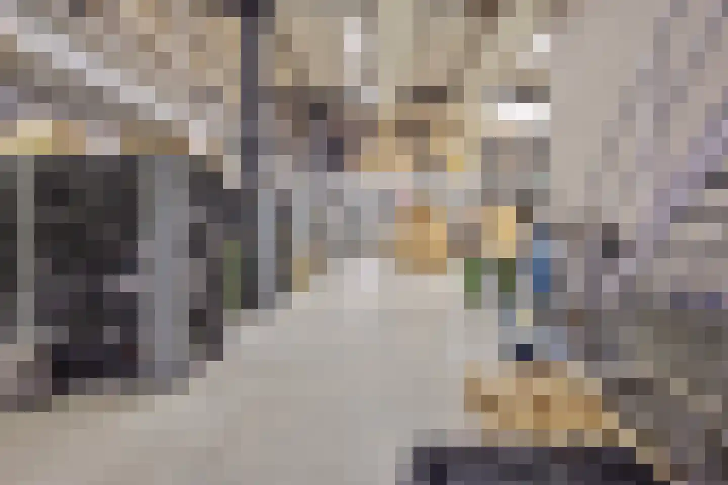 Saksenweg 30 Oss thumbnail 82