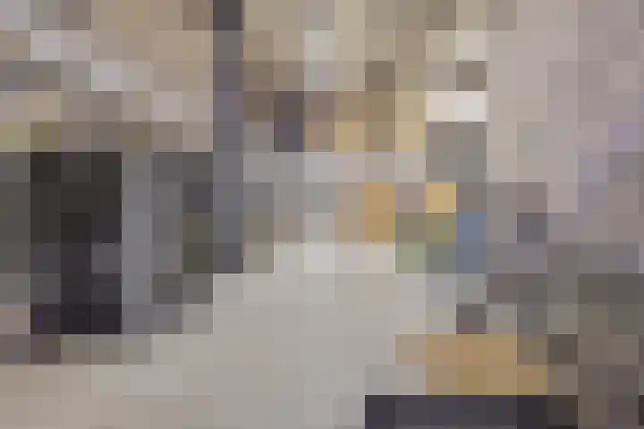 Saksenweg 30 Oss thumbnail 82