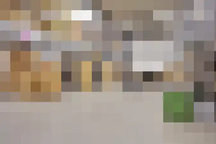 Saksenweg 30 Oss thumbnail 83