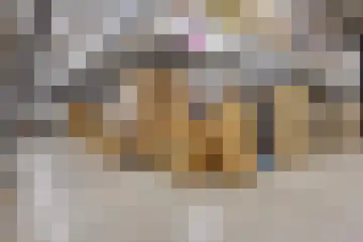 Saksenweg 30 Oss thumbnail 84