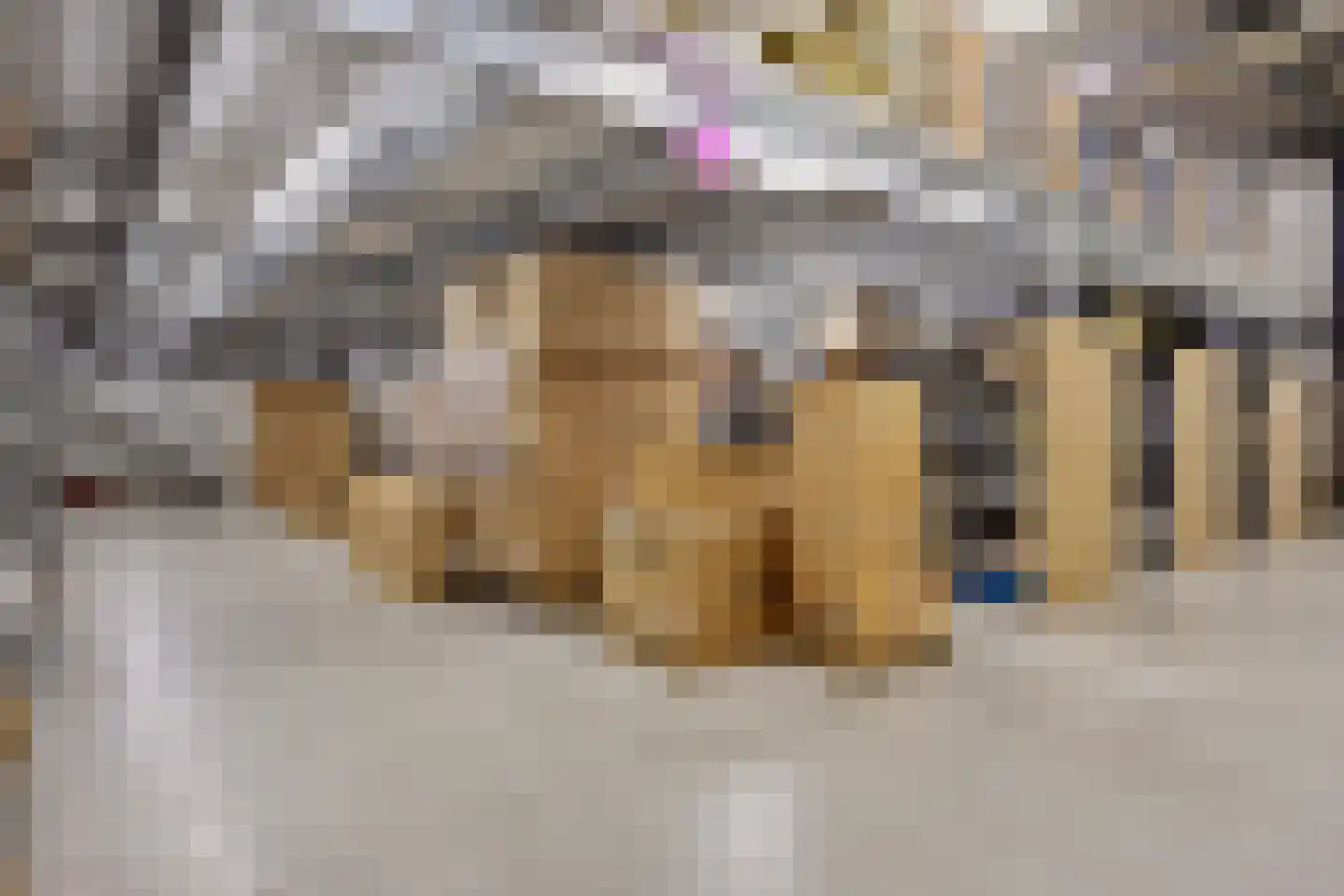 Saksenweg 30 Oss thumbnail 84