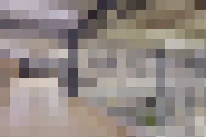 Saksenweg 30 Oss thumbnail 85