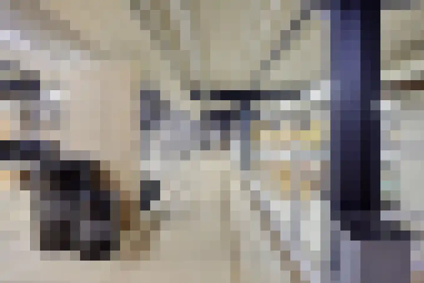 Saksenweg 30 Oss thumbnail 86