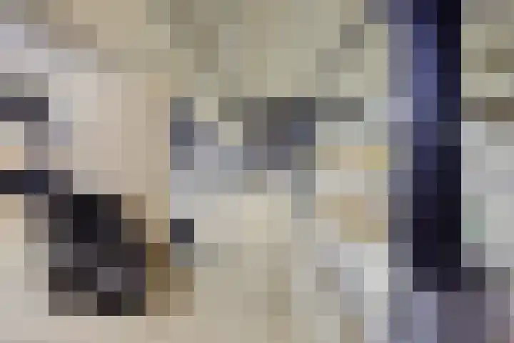 Saksenweg 30 Oss thumbnail 86