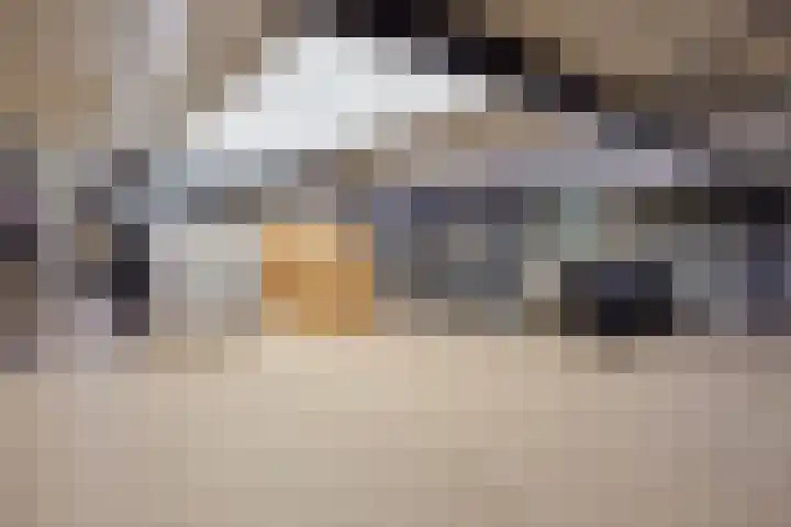 Saksenweg 30 Oss thumbnail 87