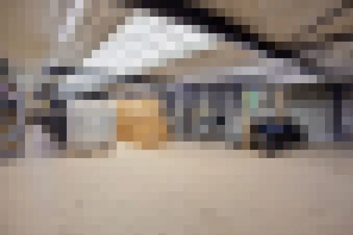 Saksenweg 30 Oss thumbnail 87