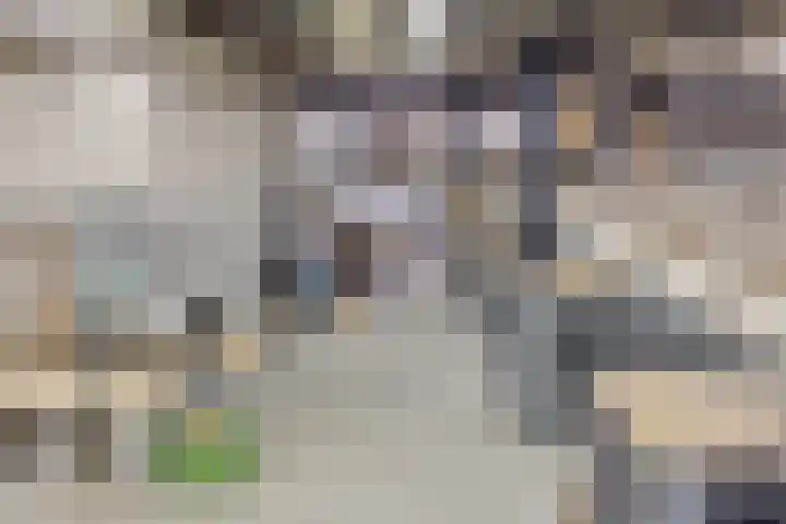 Saksenweg 30 Oss thumbnail 89