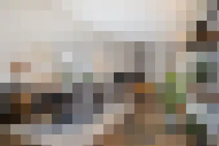 Saksenweg 30 Oss thumbnail 9